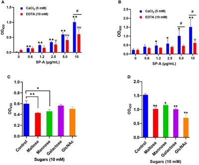 Human surfactant protein A inhibits SARS-CoV-2 infectivity and alleviates lung injury in a mouse infection model